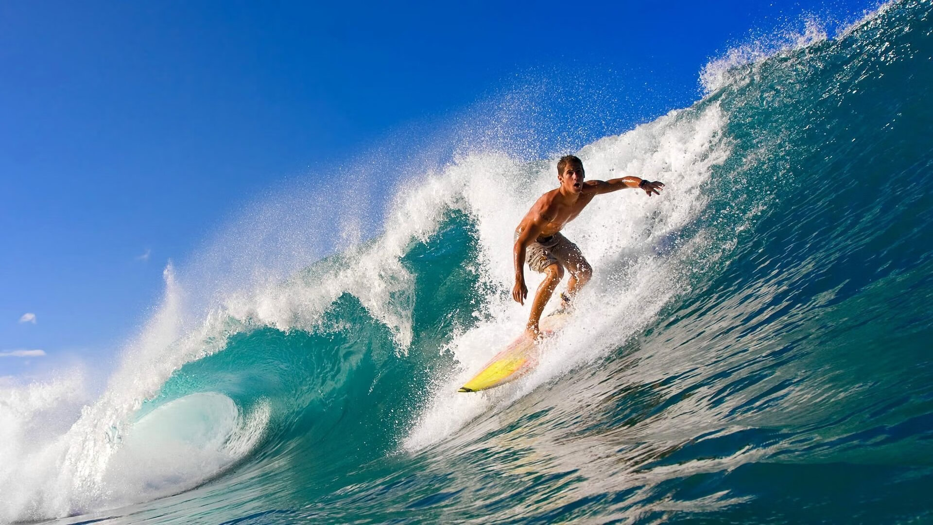 “霍斯特全能防守,帮助南非队成为世界顶级强队”