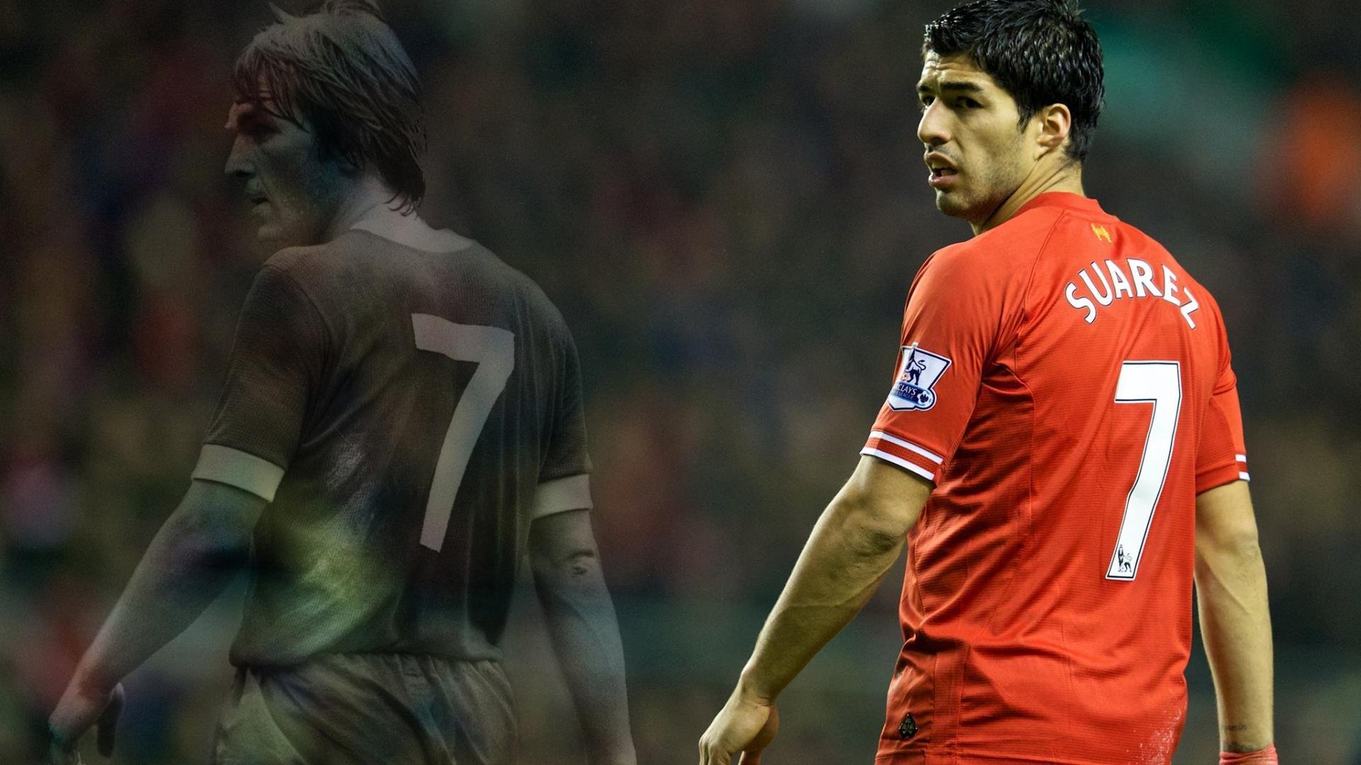 “霍斯特在南非羚羊队中的作用日益关键”